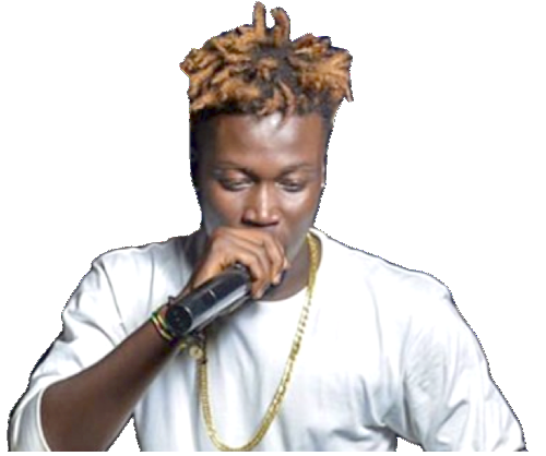 WIsa