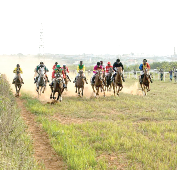 • The horses racing to the finish line during the competition
