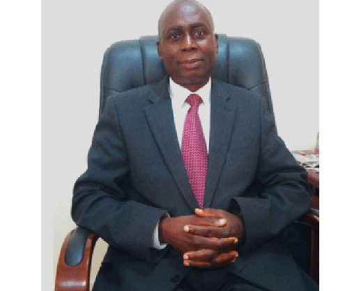 Mr Patrick K. Agyekum – Chief Executive of the Ghana National Bureau
