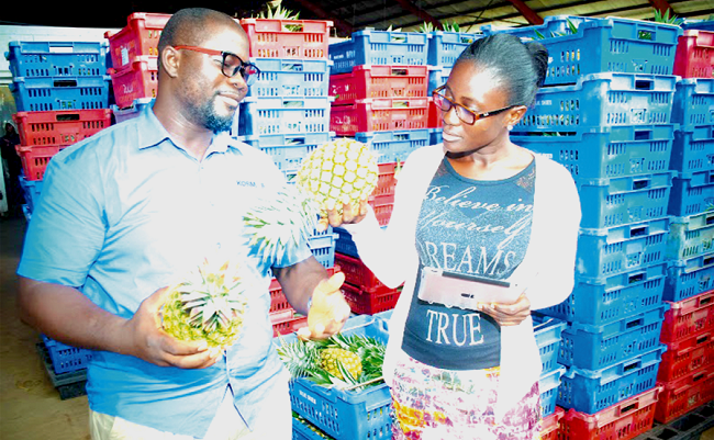 Young agric entrepreneurs tour regions