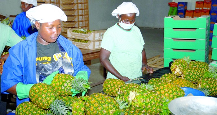 SMEs urged to sign on to insurance policies