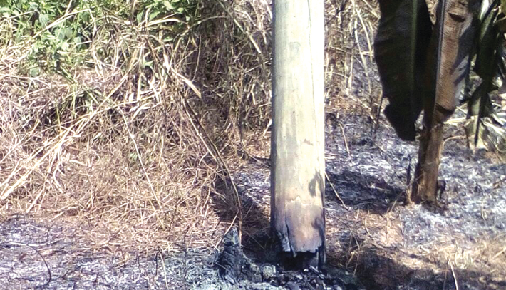  One of the poles destroyed through a bush fire
