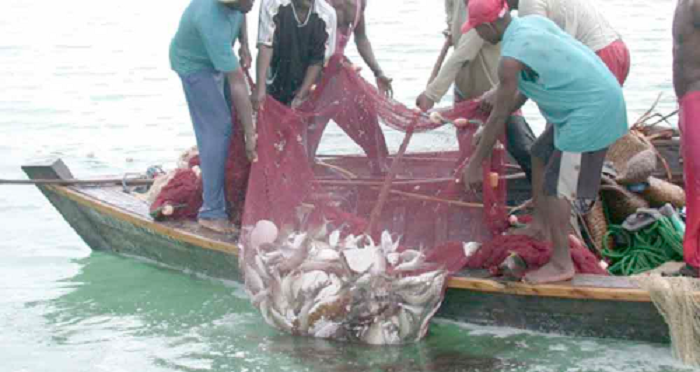 • The benefit of fish products are great  because of their high consumption rate among Ghanaians