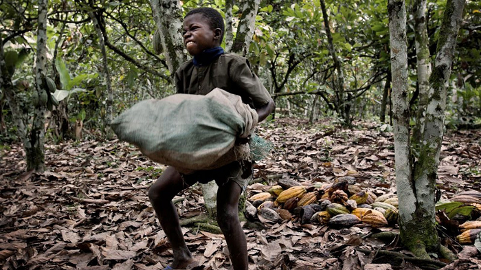 Breaking the cycle of child labour