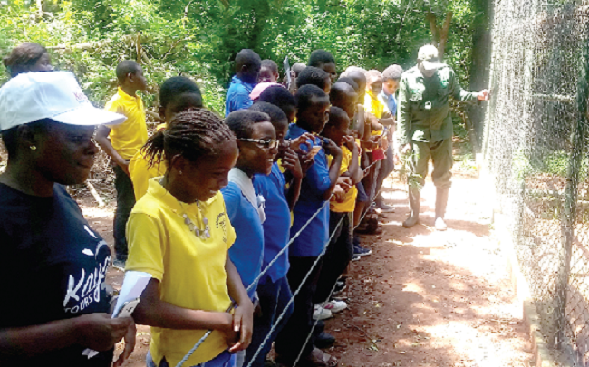 The pupils being taken through a session by a tour gaurd at the Accra zoo.