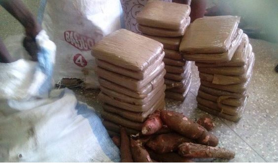 Two teenagers arrested with 30 parcels of "wee"