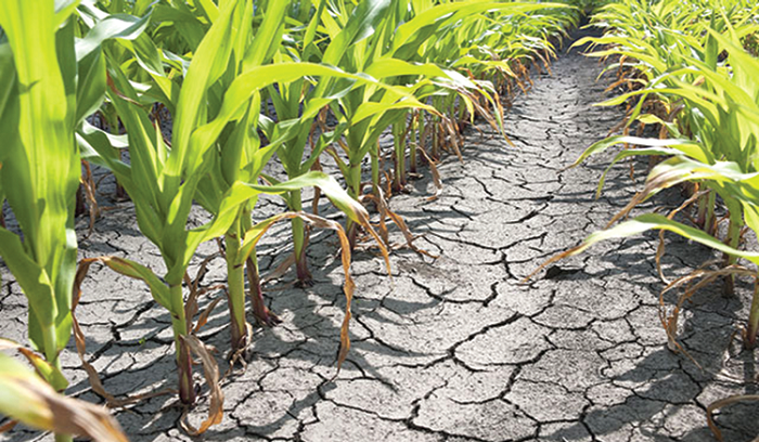 Experts say that agricultural financing can go a long way to help unlock the huge potential in the sector 