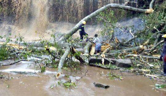 Tree falls on revelers at Kintampo waterfalls; 17 feared dead
