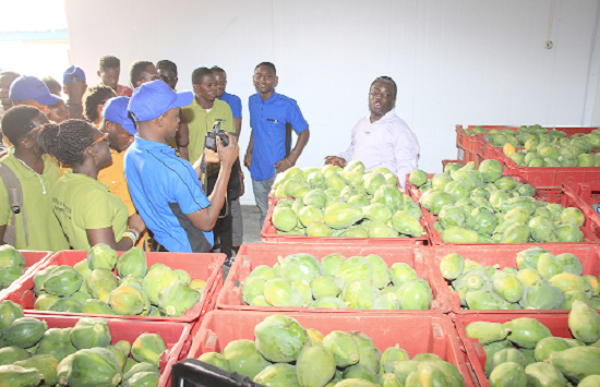  The AgriTech members on a tour  of some horticultural processing sites
