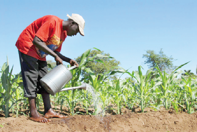 Experts say that agricultural financing can go a long way to help unlock the huge potential in the sector