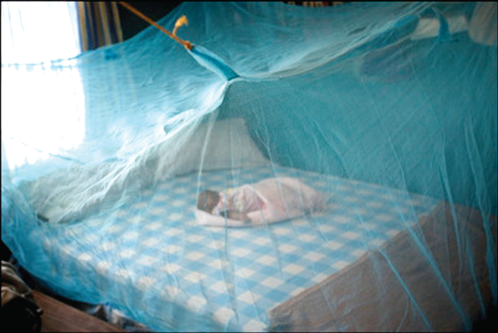 Children should sleep under insecticide treated nets.