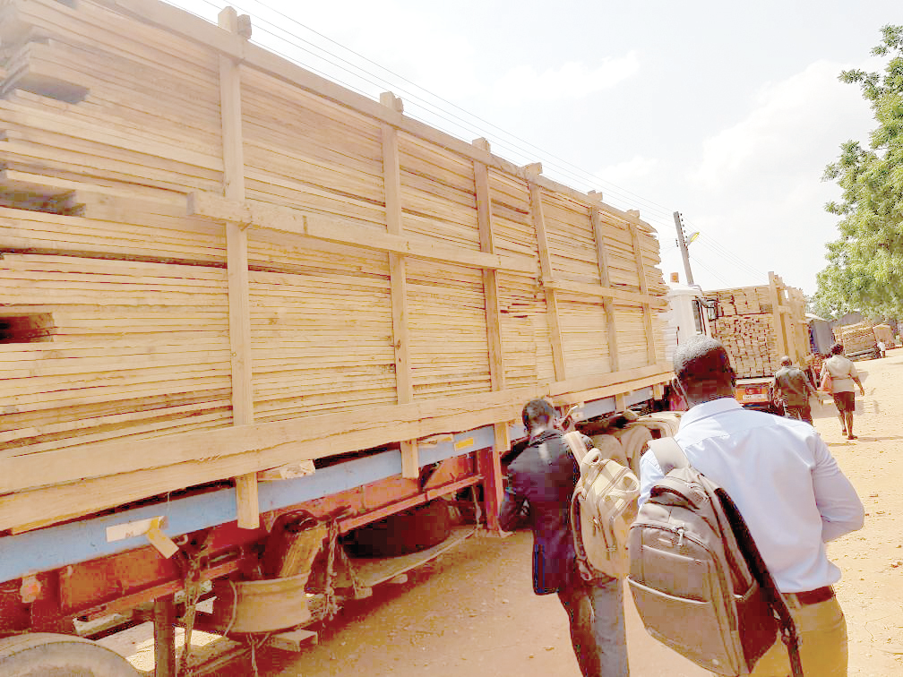 Some of the impounded trucks loaded with illegal lumber