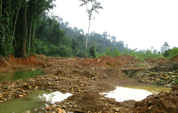 Let us protect our environment—experts to industries