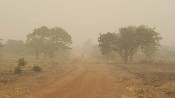 Harmattan and Feliz Navidad