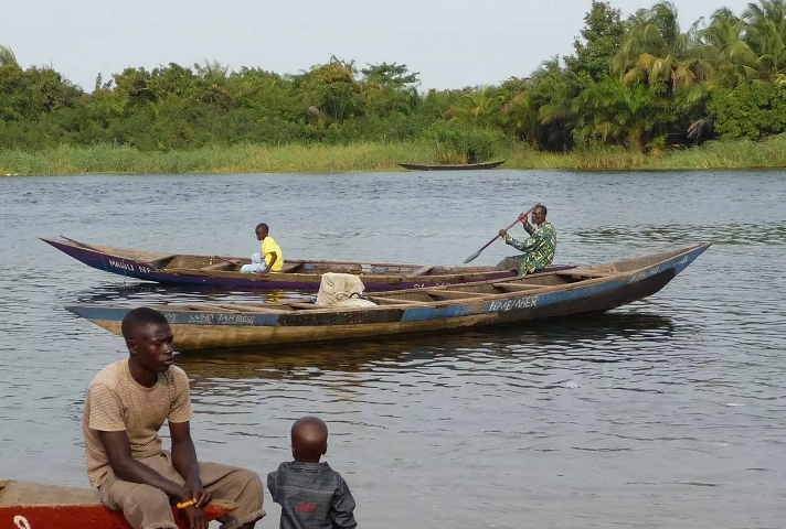 Contract to harvest tree stumps in Oti River costs GH¢3.5 million