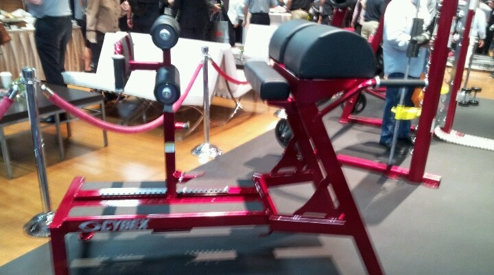 The Gym Club to revolutionise boxing