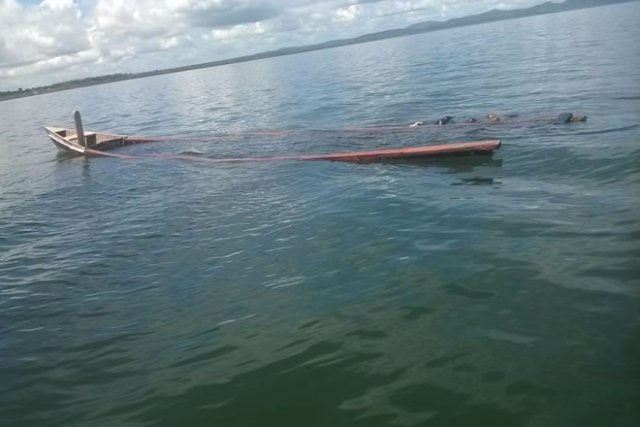 Hope fades for 8 persons feared drowned in Bui Dam