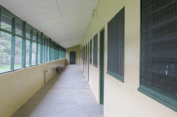 The rehabilitated antenatal ward of the maternity wing of the Asante Mampong Municipal Hospital