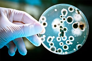 Cases of anal warts increasing in young men