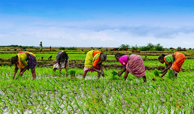 Pass Plant Breeders Bill now - Parliament urged