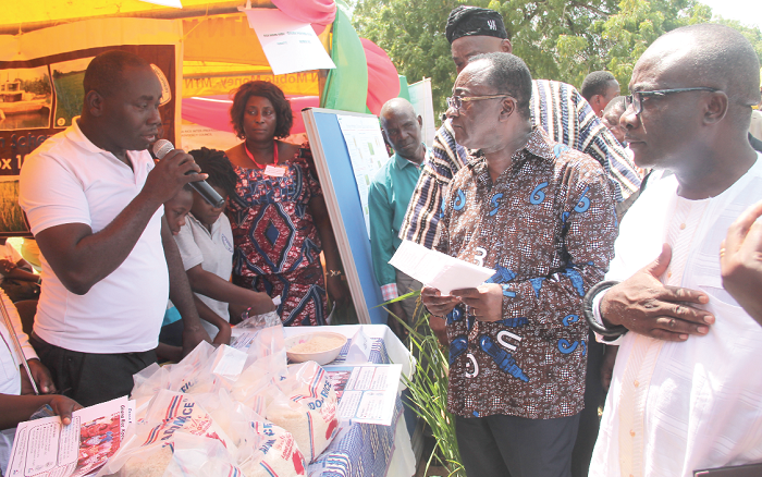 An official of the Ghana Rice Inter-Professional Body (GRIB) explaining the Ghana Rice Business Centre Model to Dr  Owusu Afriyie Akoto (2nd left), the Minister of Food and Agriculture, Nana Kwabena Adjei Ayeh II (right), Vice President of Ghana Rice Inter-Professional Body (GRIB), and some dignitaries during the exhibition.