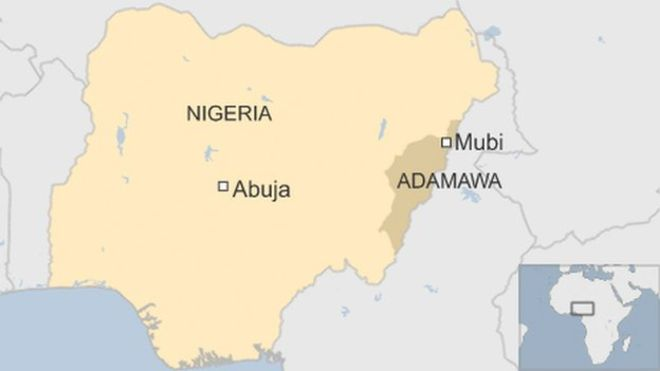 Nigeria suicide bombing kills 50 in Adamawa state