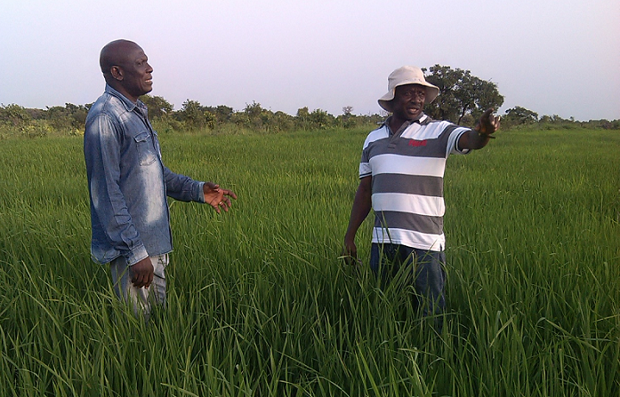  Mr Abanga, Director of Abanga Farms (Right) explaining a point to Mr Boakye Acheampong, Regional Director of Agriculture 