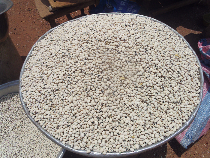Some beans seeds that farmers buy for planting