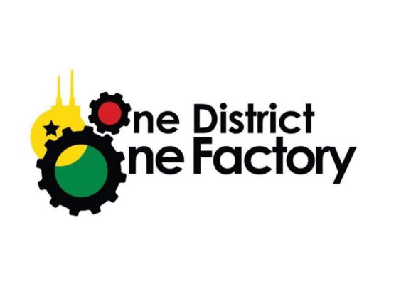 Use agric to support one  district, one factory project – Agona East DCE urges youth