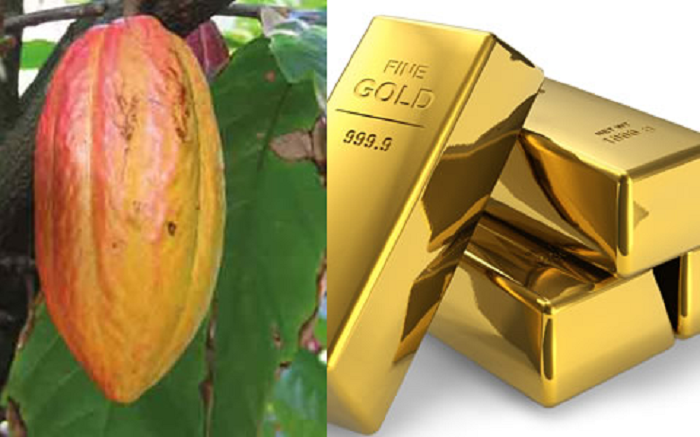 We should adopt and maintain creditable policies for our gold and cocoa