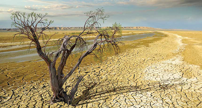 Climate change primarily refers to variations in the weather due to natural and human causes.
