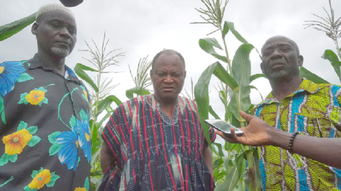  Mr Abednego Abosore (middle) explaining a point to our reporter during a visit to one of the farms. With him is Mr Abubakari Sayibu (left)