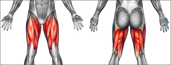 How to manage back thigh muscle strain 