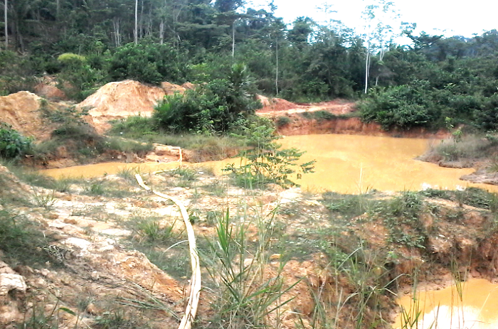 Pulling down the veil on government’s involvement in the “galamsey” menace