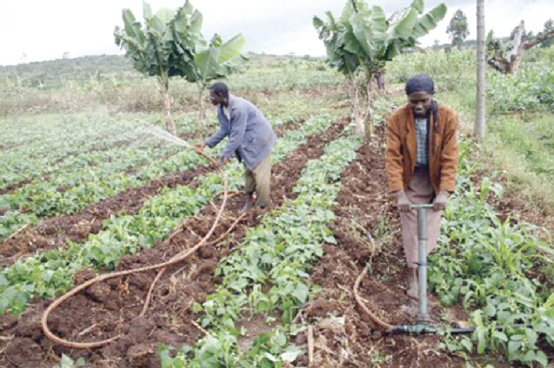 Scaling up investment in the agricultural sector can improve the livelihoods of rural folks