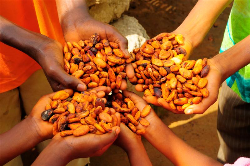 COCOBOD borrows $1.3bn to buy cocoa in 2017/18 season