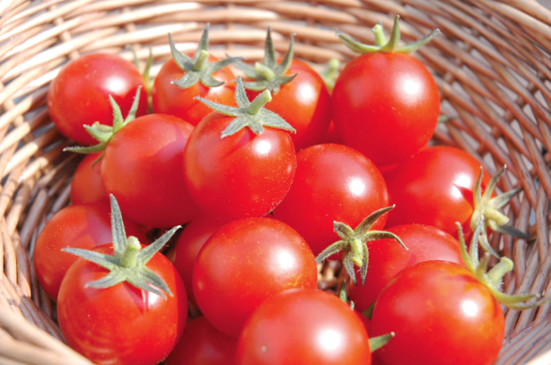 Health benefit of tomatoes