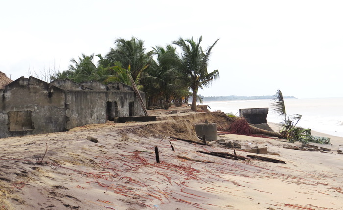 Some of the houses and coconut trees that have been washed away by the tidal waves.
