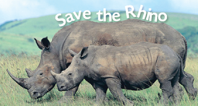 IBM, MTN deploy IOT technology to save Africa’s rhinos