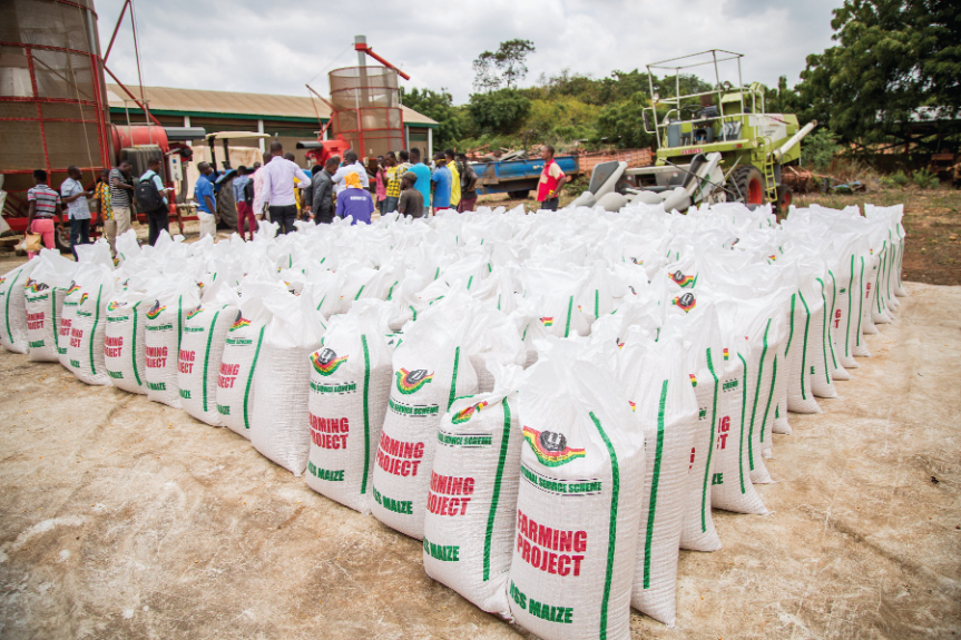 Some maize packed for consumption.