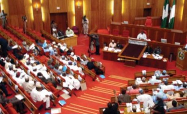 FILE PHOTO: Nigerian Senate