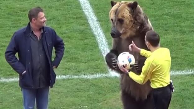 A YouTube video showed circus bear 'Tim' hand the ball to the referee