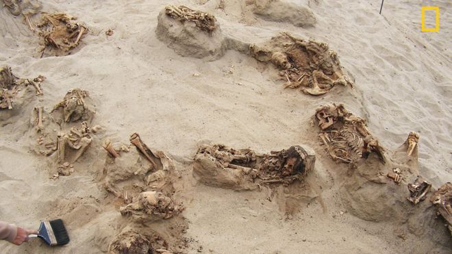  Just a few of the skeletons discovered in Huanchaquito, near modern-day Trujillo 