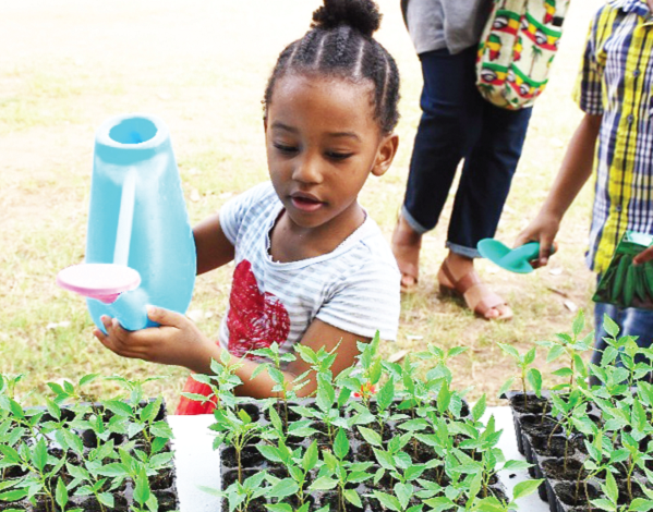 A toddler watering some plants