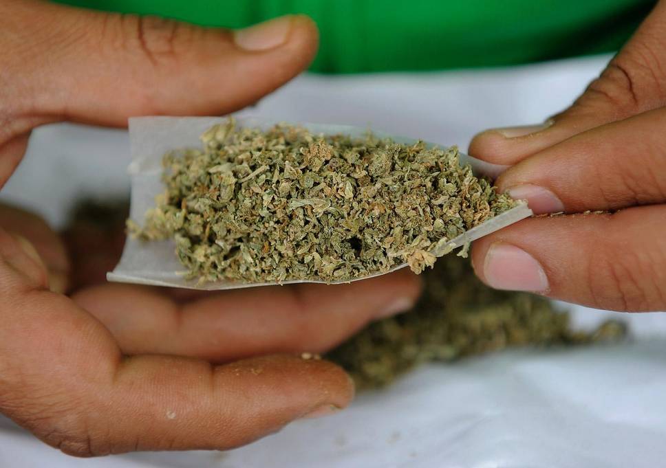 Argentinian police officers fired after claiming mice ate half a ton of missing cannabis