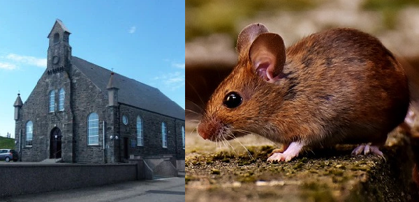 The church mouse and the tax man