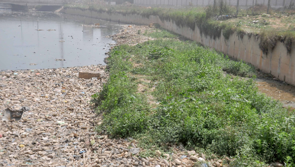 The Odaw River full of weeds and solid waste 