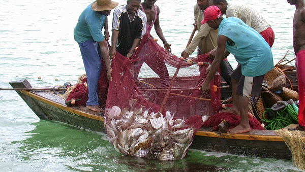 Govt announces May 15 to June 15 as closed season for fishing