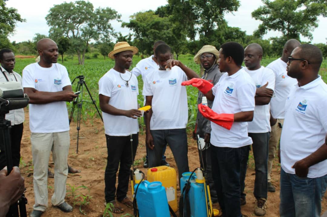 New chemical to fight armyworm introduced
