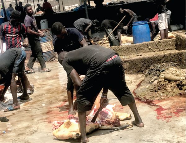 Aminals are slaughtered and the meat dressed on the bare floor at the Turaku slaughter house